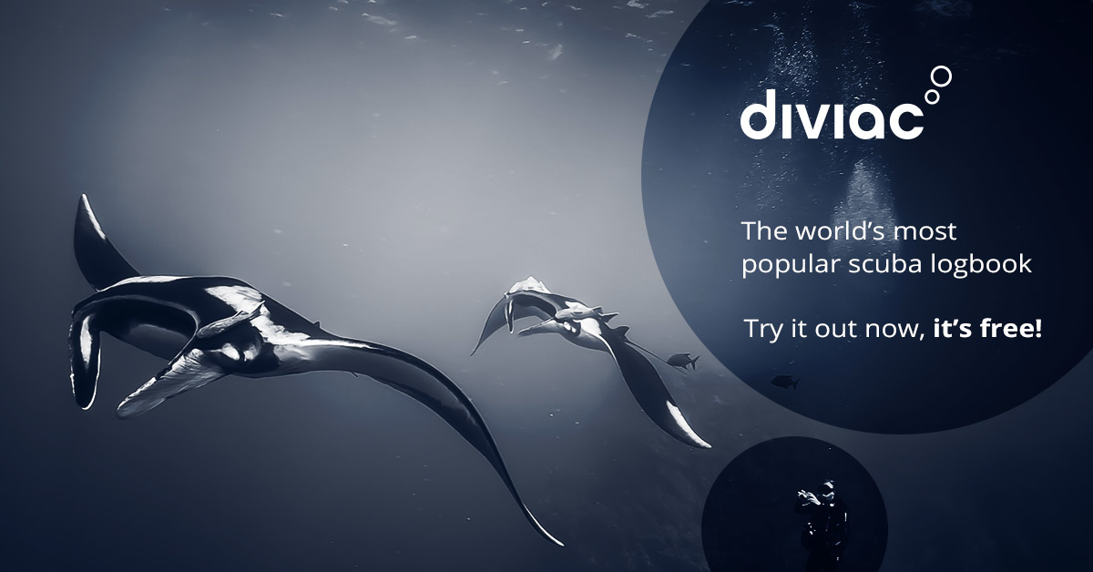 Get a Free Online Diving | Diviac Logbook